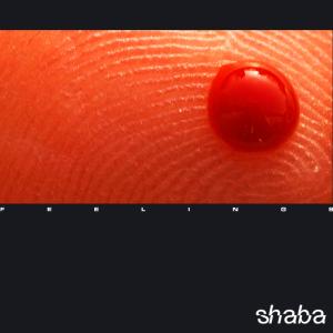收聽Shaba的We Feel歌詞歌曲