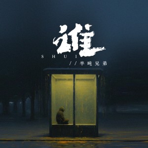 Album 谁（烟嗓版） oleh 半吨兄弟