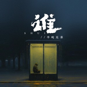 谁（烟嗓版） dari 半吨兄弟