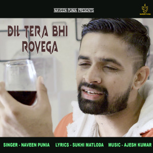 收听Naveen Punia的Dil Tera Bhi Rovega歌词歌曲