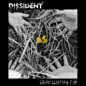 Listen to Roadside Check song with lyrics from Dissident