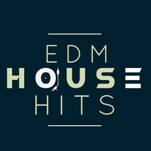 ดาวน์โหลดและฟังเพลง Neon พร้อมเนื้อเพลงจาก EDM House Hits