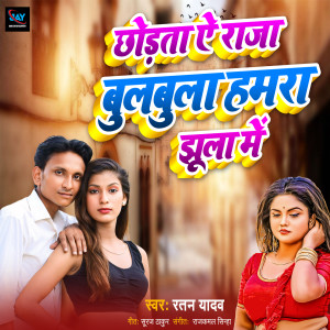 Listen to Chodata A Raja Bulbula Hamra Jhula Se song with lyrics from Ratan Yadav
