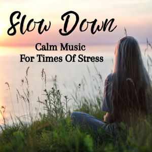 Various Artists的專輯Slow Down: Calm Music For Times Of Stress