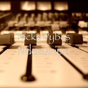 Listen to Ndozviripo song with lyrics from Nicky Vybes
