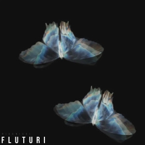 Album Fluturi from Nisanisei