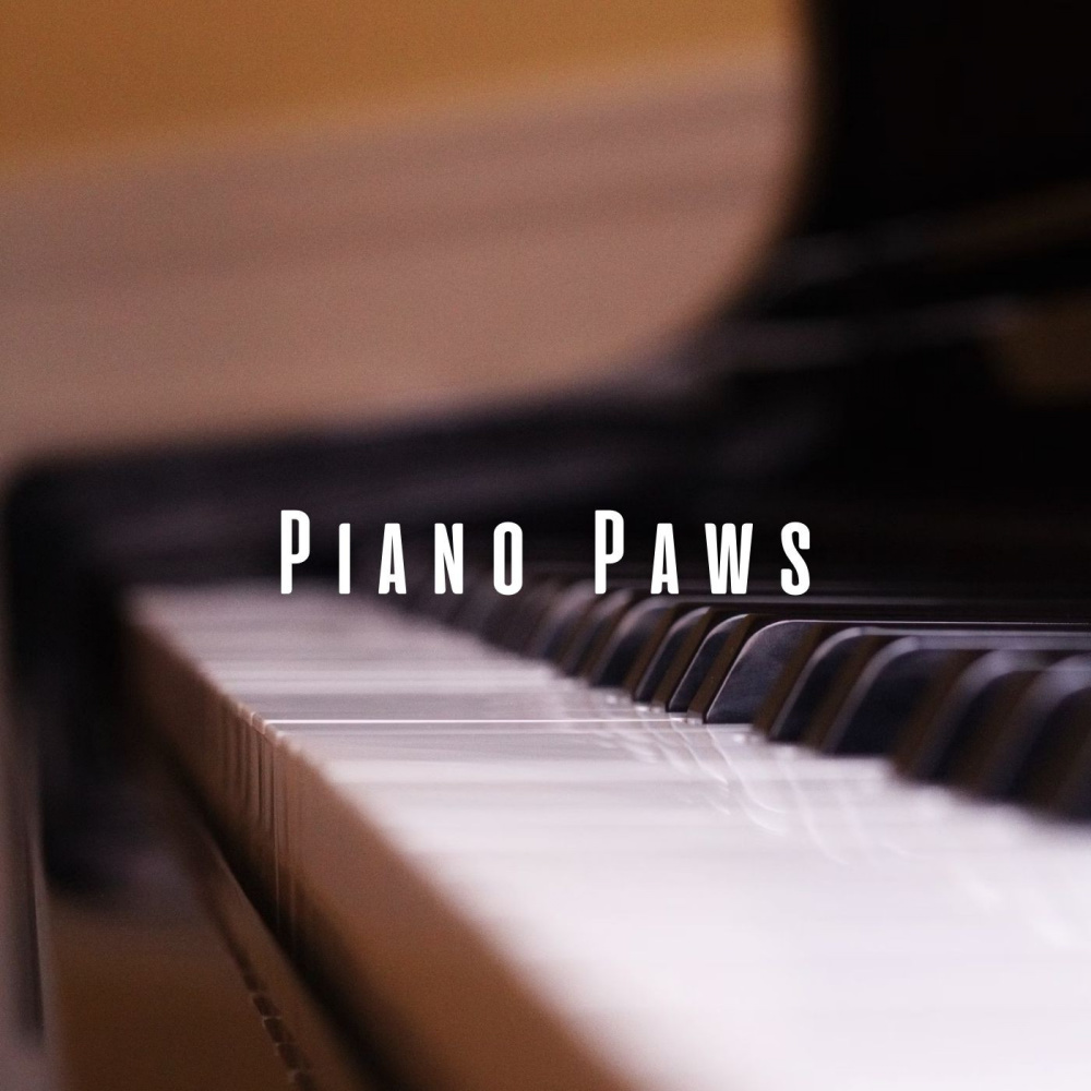 Piano Duets with our Furry Friends