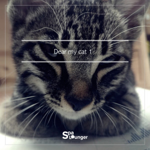 Dengarkan A Cat's Walk lagu dari Spa Lounger dengan lirik