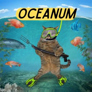 Dengarkan lagu Aquaria nyanyian Midnight Groove dengan lirik