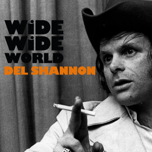 ดาวน์โหลดและฟังเพลง The Poem พร้อมเนื้อเพลงจาก Del Shannon