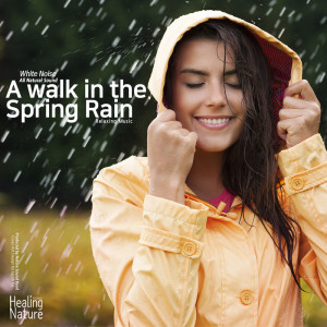 Dengarkan Rainy Spring Night(Team Malibu) (ASMR) lagu dari 힐링 네이쳐 Nature Sound Band dengan lirik