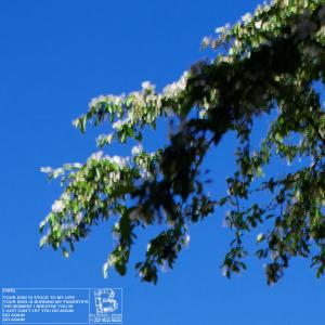 อัลบัม Go Again ศิลปิน Bånd