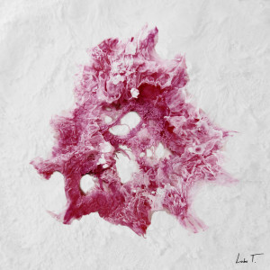 ดาวน์โหลดและฟังเพลง With Me พร้อมเนื้อเพลงจาก Minorah