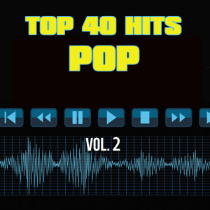 อัลบัม 40 Pop Hit Songs Vol. 2 ศิลปิน Top 40 Pop Hits