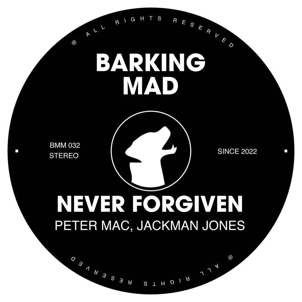 Never Forgiven (Original Mix)