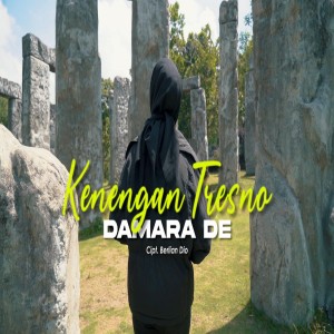 ดาวน์โหลดและฟังเพลง Kenengan Tresno พร้อมเนื้อเพลงจาก Damara De