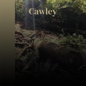 Dengarkan Cawley lagu dari Jaimy Mely dengan lirik