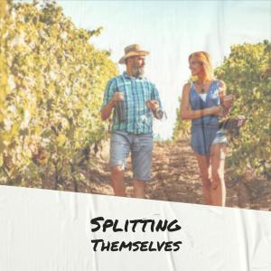 Listen to Catatonic song with lyrics from Tris Llion