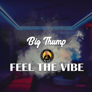 Big Thump的專輯Feel The Vibe (Explicit)