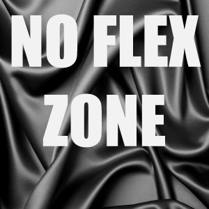 ดาวน์โหลดและฟังเพลง No Flex Zone (In The Style of Rae Sremmurd) (Instrumental Version) (In The Style of Rae Sremmurd|Instrumental Version) พร้อมเนื้อเพลงจาก Out Trax