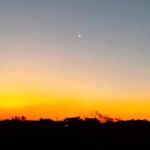 收聽Seazy的So Lusaka (Explicit)歌詞歌曲