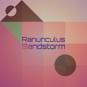 อัลบัม Ranunculus Sandstorm ศิลปิน Various