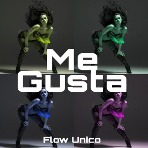 Album Me Gusta from Flow Unico