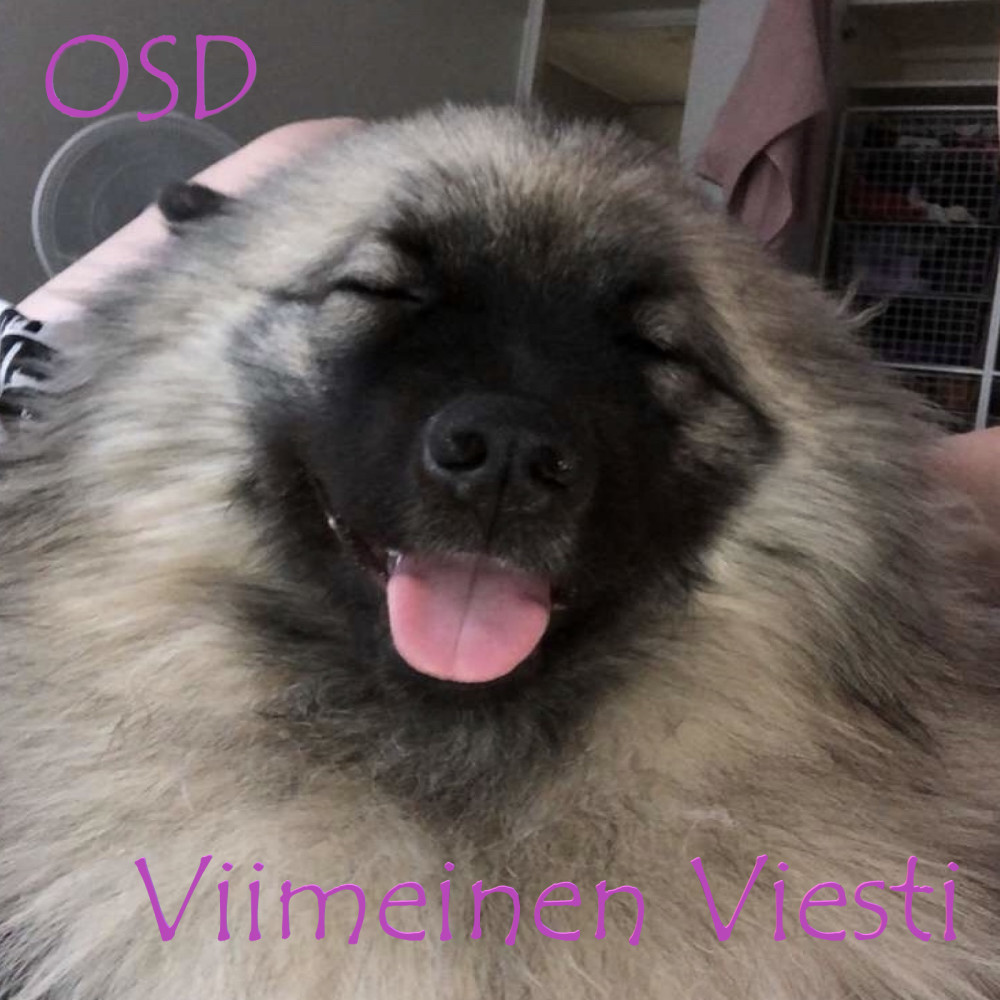 Viimeinen Viesti