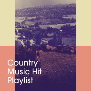 อัลบัม Country Music Hit Playlist ศิลปิน Country Rock Party