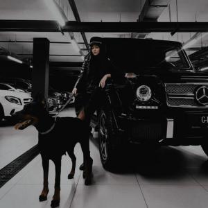 收聽STD的Mafia歌詞歌曲