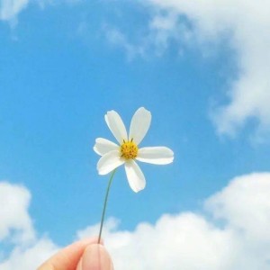 Listen to My blue (Piano by JeeYeong,Kim) song with lyrics from pianogirl