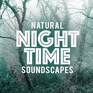 收聽Dreams of Nature的Natural Life歌詞歌曲