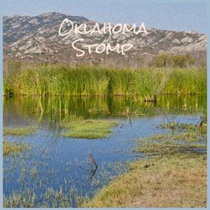Various Artist的專輯Oklahoma Stomp