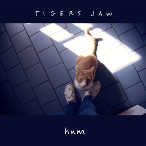 ดาวน์โหลดและฟังเพลง Hum พร้อมเนื้อเพลงจาก Tigers Jaw