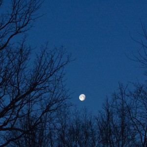 收聽Karoshiwastaken的Spying on my dreams for the 0utside window (Explicit)歌詞歌曲