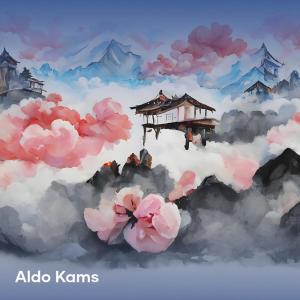 收聽ALDO KAMS的Nanti Pasti Ko Mengkane歌詞歌曲