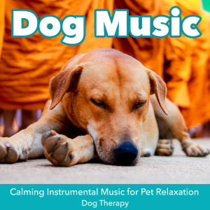 Listen to Music for Dog ( Relax My Dog ) song with lyrics from Dog Music Dreams
