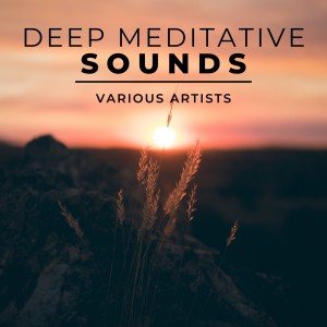 Listen to Calming Sleep Music song with lyrics from Denis Moon