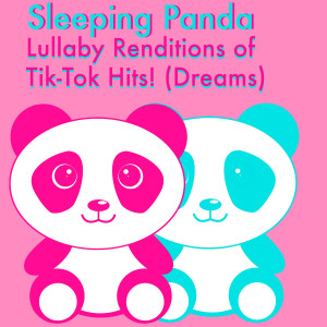 Album Dreams from Sleeping Panda