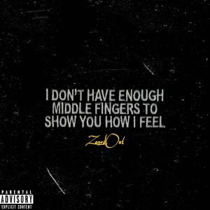 ZonedOutFlo的專輯I Dont have enough middle fingers to show you how i feel (Explicit)
