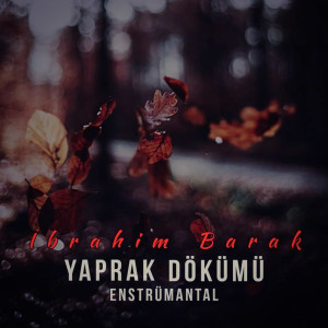 Listen to Yaprak Dökümü (Enstrümantal) song with lyrics from İbrahim Barak