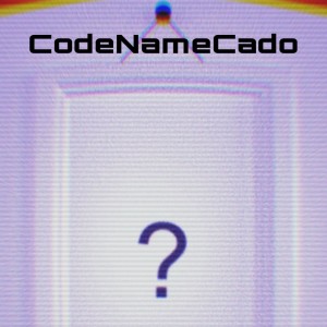 CodeNameCado的專輯Questions