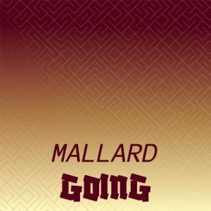 อัลบัม Mallard Going ศิลปิน Various