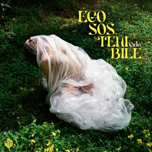 ดาวน์โหลดและฟังเพลง EgoSOStenibile พร้อมเนื้อเพลงจาก Celo