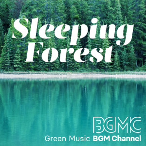 Sleeping Forest