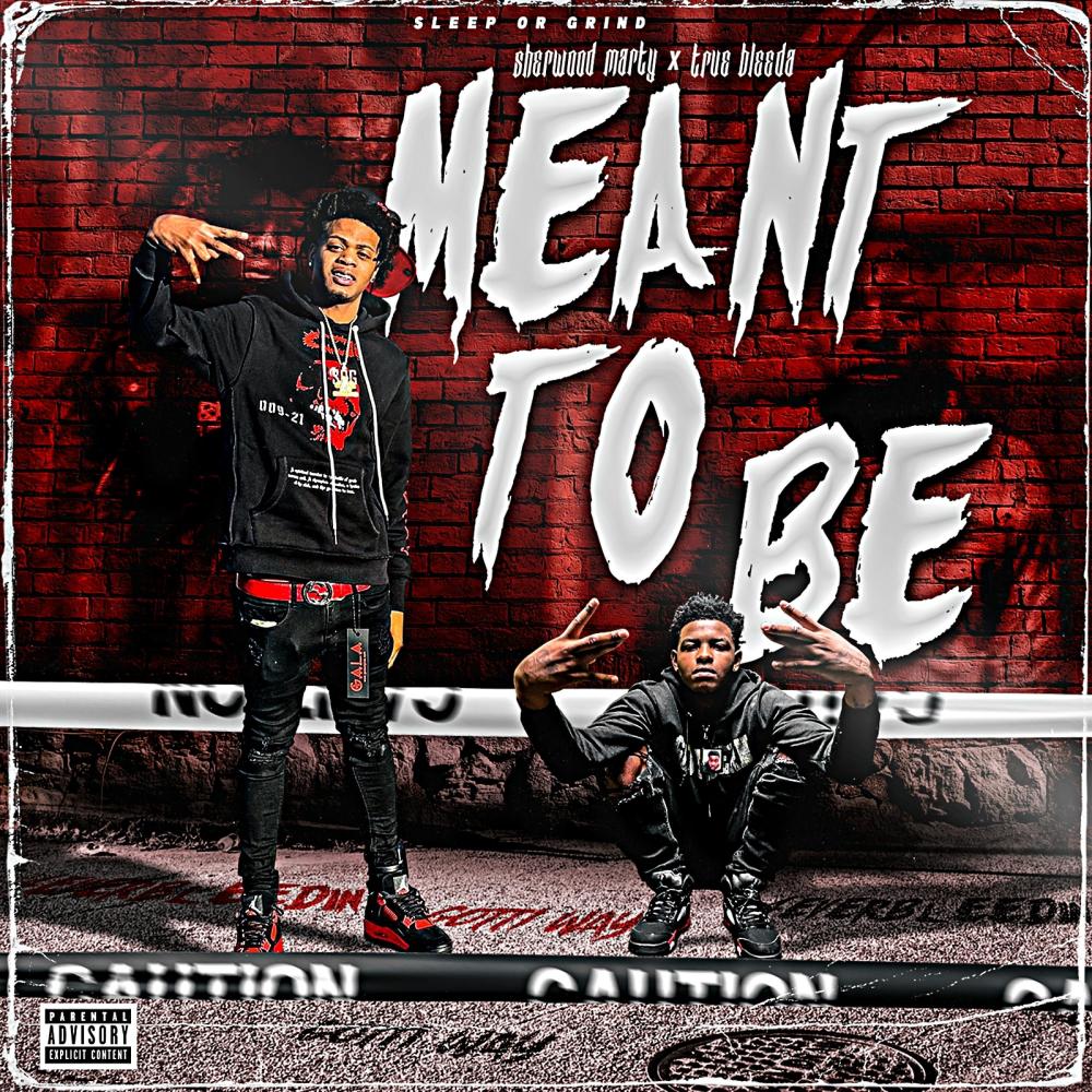 Meant To Be (feat. True Bleeda) (Explicit)