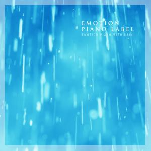 Various Artists的专辑Emotion Piano With Rain (Nature Ver.)