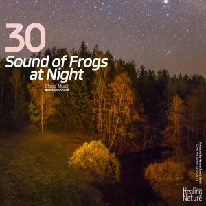 Dengarkan Rainy Camping Ground Frog Sound lagu dari 힐링 네이쳐 Nature Sound Band dengan lirik