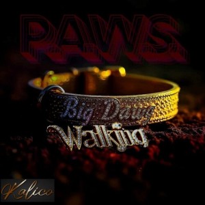 Album P.A.W.S (Big Dawg Walking) [Explicit] from Kalico