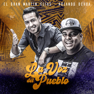 Listen to La Voz Del Pueblo song with lyrics from Rolando Ochoa